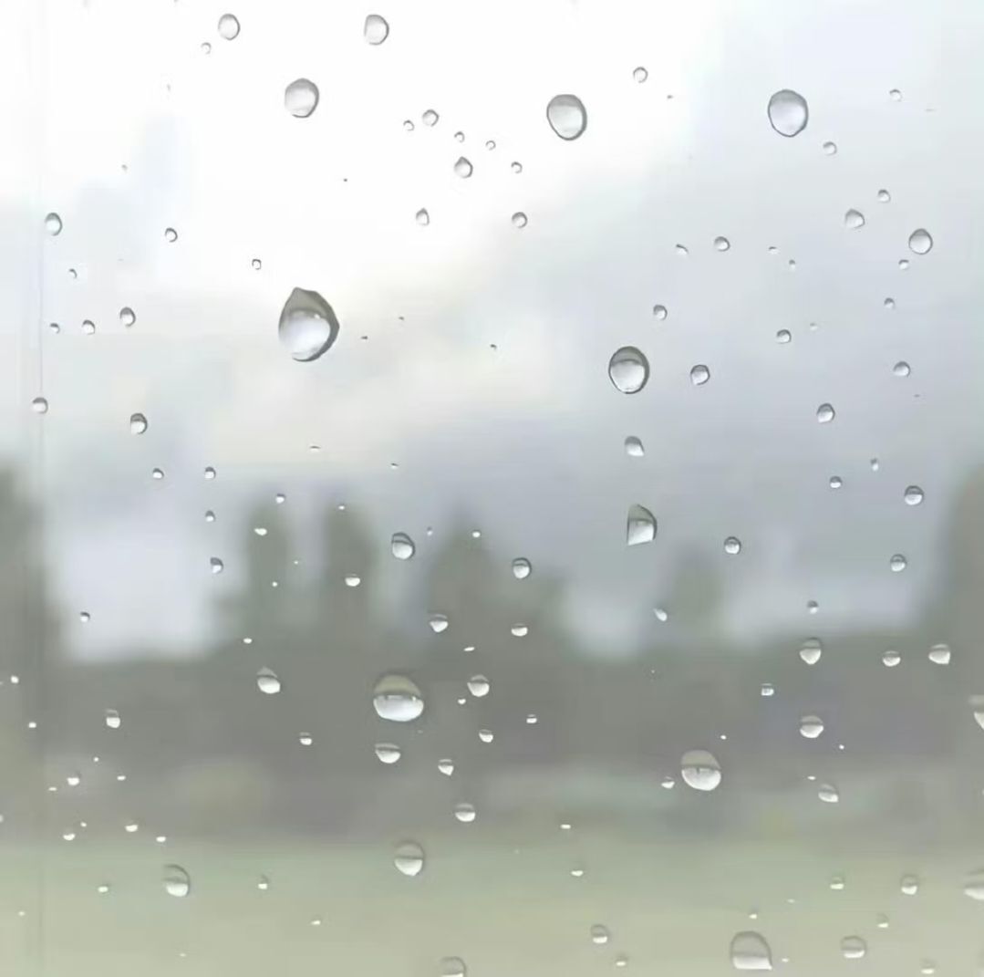 记忆